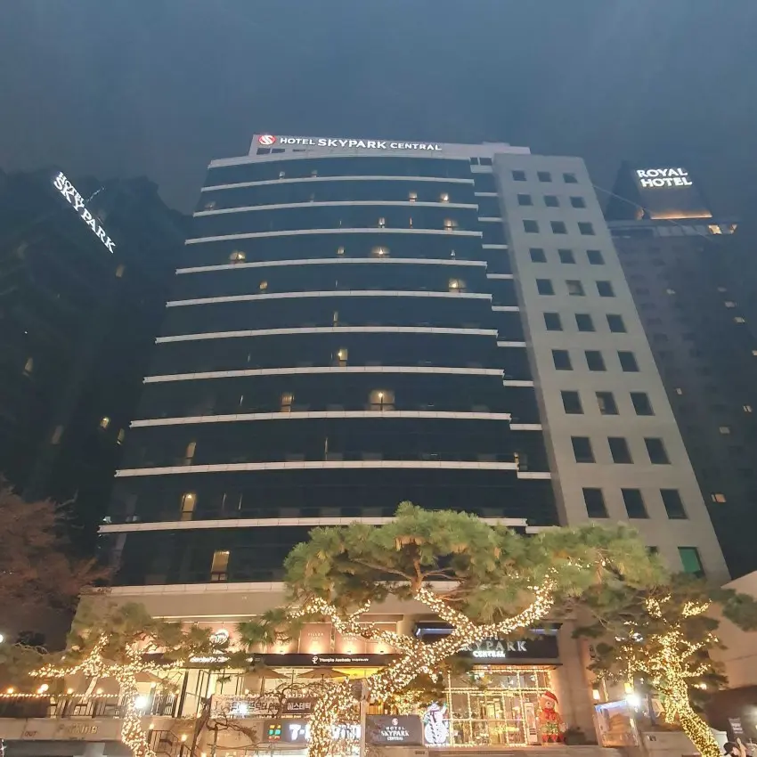 天空公園酒店中央明洞店
