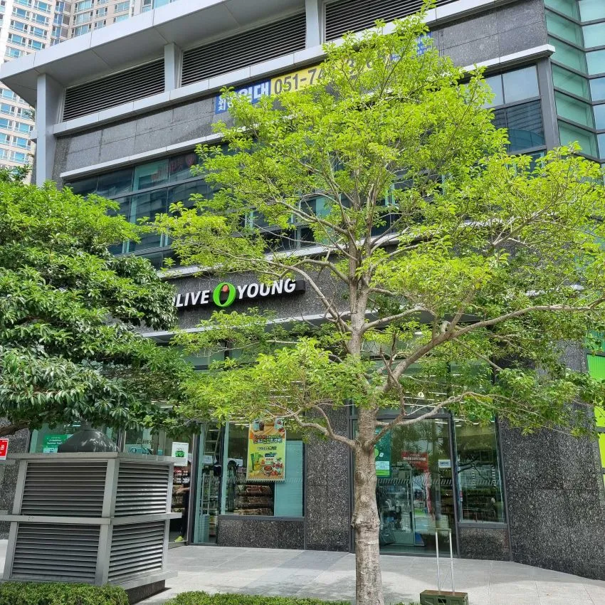 OLIVE YOUNG 釜山Centum店 - 照片 1